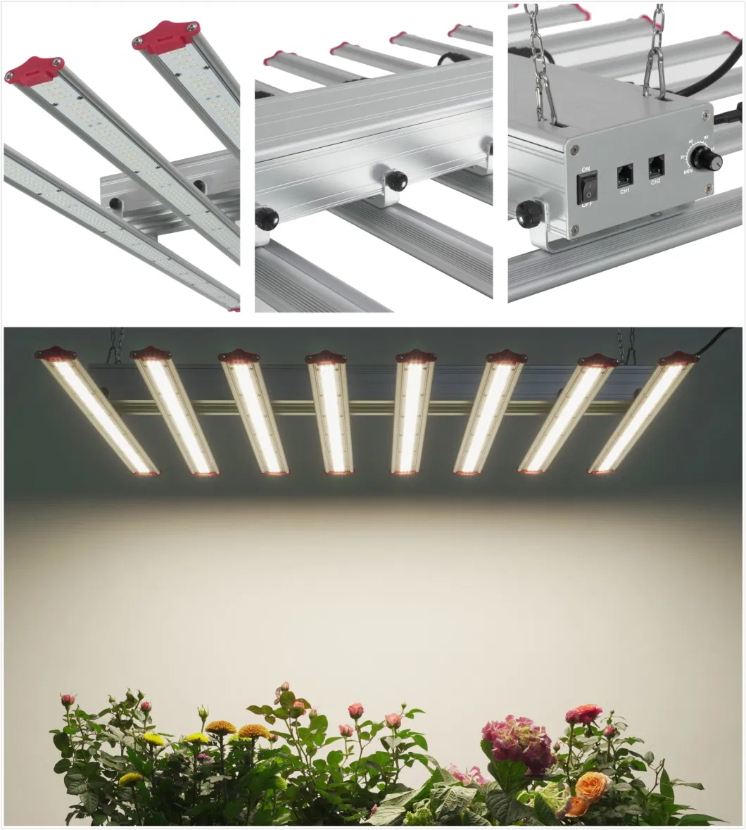 LED Grow Light 1000W Spyder LED Plant Grow Light with Inventronics Driver