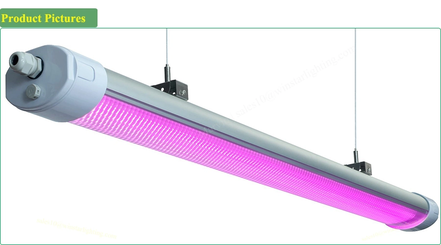 China Wholesale 150W 5FT IP65 LED Grow Light, LED Tri Proof Light, Mini Projector